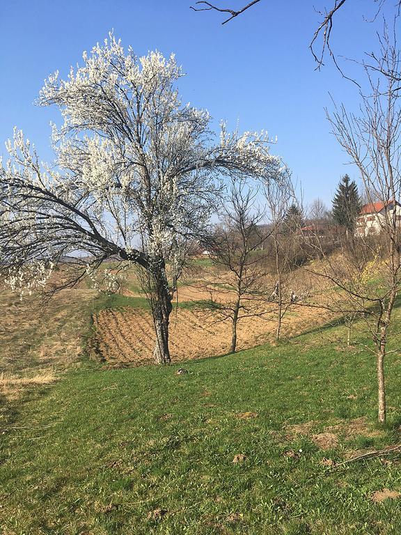 House Vranic Hotel Rakovica Kültér fotó